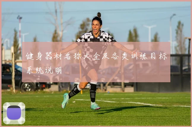 健身器材名称大全及各类训练目标系统说明