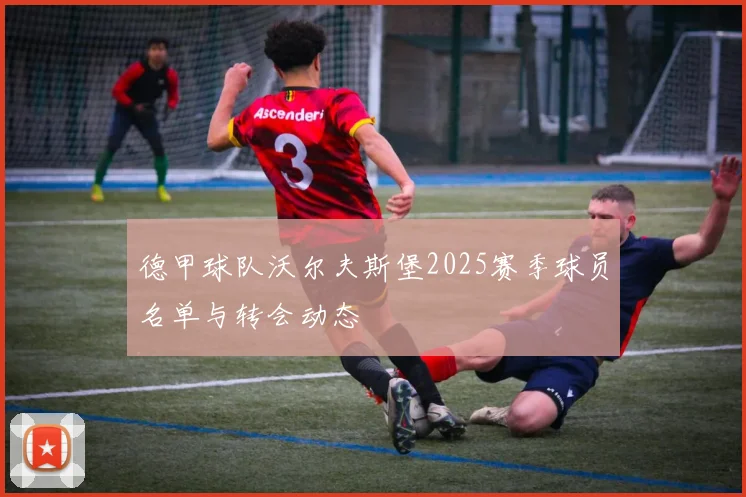 德甲球队沃尔夫斯堡2025赛季球员名单与转会动态
