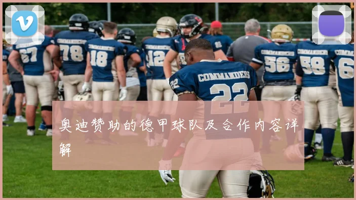 奥迪赞助的德甲球队及合作内容详解