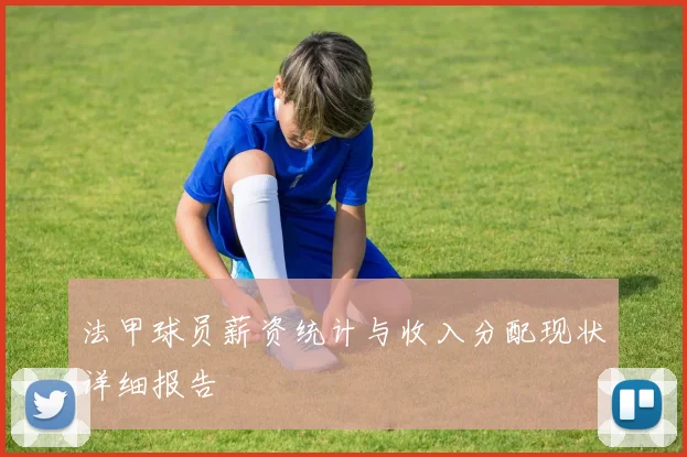 法甲球员薪资统计与收入分配现状详细报告