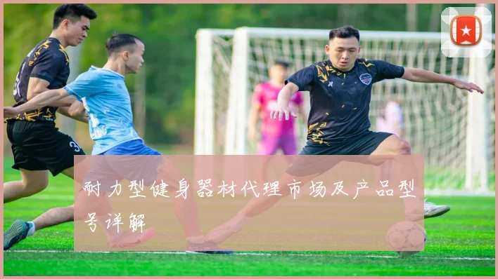 耐力型健身器材代理市场及产品型号详解