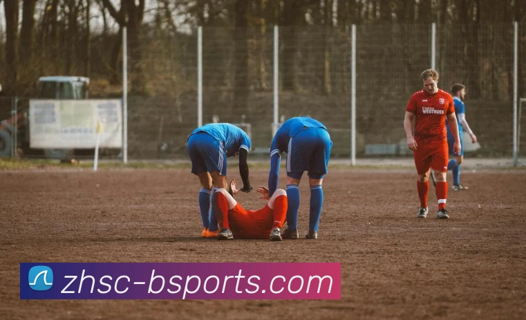 B体育Bsports平台生态图